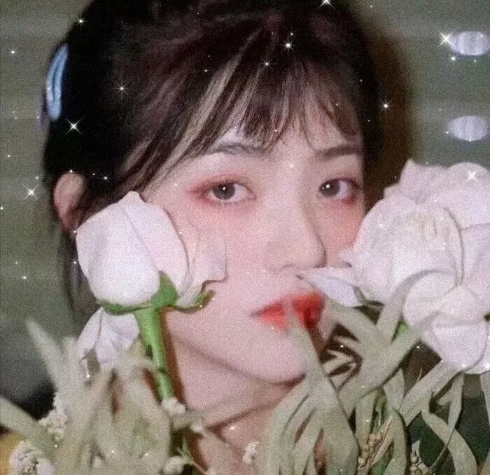 银狐传说