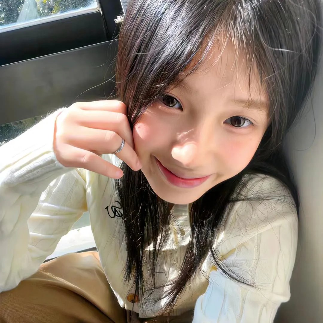 我的英雄学院：两位英雄